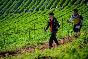 BIB: 
                            <button type="button" onclick="openModal(19162098)" class="btn btn-primary btn-sm float-right btn-popup" data-toggle="modal" data-target=".modal-high-quality">
                        <i class="fas fa-shopping-cart"></i> Add to Cart
                    </button>
                                            <button type="button" onclick="isThisMe(19162098, true)" class="btn btn-success btn-sm float-right btn-popup btn-isme hidden" data-toggle="tooltip" data-placement="bottom" title="นี่คือรูปของคุณใช่ไหม คลิกที่นี่เพื่อเอาเข้าอัลบั้ม">
                        <i class="fas fa-plus"></i> Add to album
                    </button>
                    <button type="button" onclick="isThisMe(19162098, false)" class="btn btn-warning btn-sm float-right btn-popup btn-isnotme hidden">
                        <i class="fas fa-ban"></i> Remove from album
                    </button>